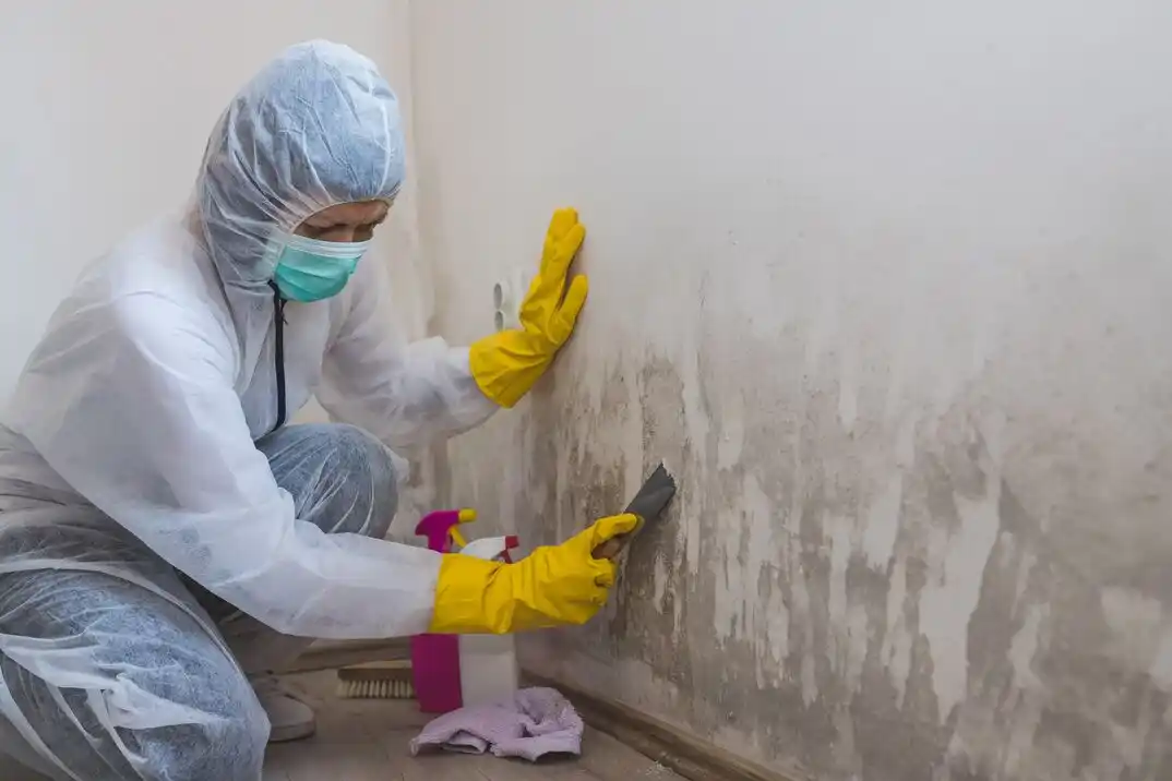 water damage restoration service Putnam Ridge